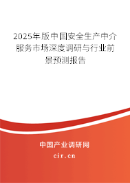 2025年版中國(guó)安全生產(chǎn)中介服務(wù)市場(chǎng)深度調(diào)研與行業(yè)前景預(yù)測(cè)報(bào)告