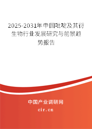 2025-2031年中國吡啶及其衍生物行業(yè)發(fā)展研究與前景趨勢報告