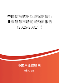 中國便攜式鋼絲繩探傷儀行業(yè)調(diào)研與市場前景預(yù)測報告（2025-2031年）