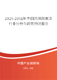 2024-2030年中國丙烯酸面漆行業(yè)分析與趨勢預(yù)測報告