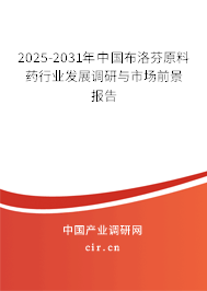 2025-2031年中國布洛芬原料藥行業(yè)發(fā)展調研與市場前景報告