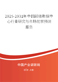 2025-2031年中國(guó)超級(jí)數(shù)據(jù)中心行業(yè)研究與市場(chǎng)前景預(yù)測(cè)報(bào)告