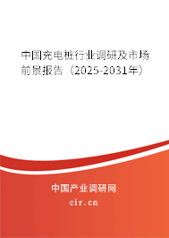 中國充電樁行業(yè)調(diào)研及市場前景報告（2025-2031年）