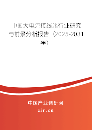 中國大電流接線端行業(yè)研究與前景分析報(bào)告（2025-2031年）