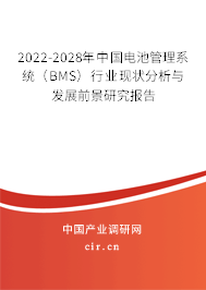 2022-2028年中國(guó)電池管理系統(tǒng)（BMS）行業(yè)現(xiàn)狀分析與發(fā)展前景研究報(bào)告
