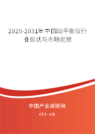 2025-2031年中國動平衡儀行業(yè)現(xiàn)狀與市場前景