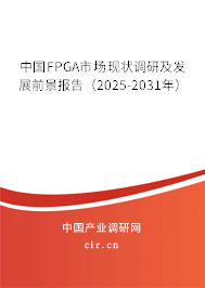 中國FPGA市場現(xiàn)狀調(diào)研及發(fā)展前景報(bào)告（2025-2031年）