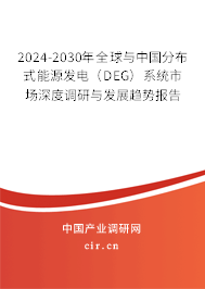 2024-2030年全球與中國分布式能源發(fā)電（DEG）系統(tǒng)市場深度調(diào)研與發(fā)展趨勢(shì)報(bào)告