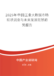 2025年中國工業(yè)大數(shù)據(jù)市場現(xiàn)狀調(diào)查與未來發(fā)展前景趨勢報告