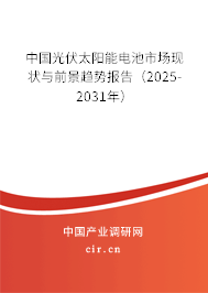 中國(guó)光伏太陽能電池市場(chǎng)現(xiàn)狀與前景趨勢(shì)報(bào)告（2025-2031年）