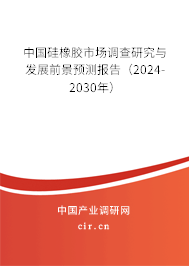 中國硅橡膠市場調(diào)查研究與發(fā)展前景預(yù)測報(bào)告（2024-2030年）