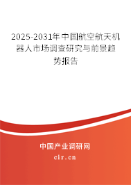 2025-2031年中國航空航天機(jī)器人市場調(diào)查研究與前景趨勢報(bào)告