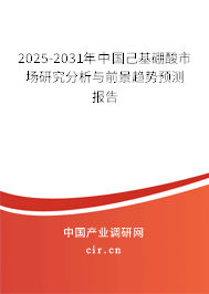 2025-2031年中國(guó)己基硼酸市場(chǎng)研究分析與前景趨勢(shì)預(yù)測(cè)報(bào)告