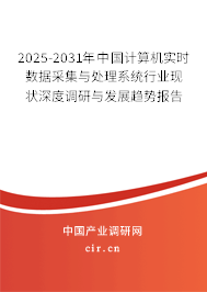 2025-2031年中國計算機(jī)實時數(shù)據(jù)采集與處理系統(tǒng)行業(yè)現(xiàn)狀深度調(diào)研與發(fā)展趨勢報告