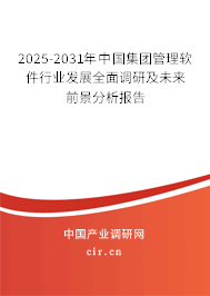 2025-2031年中國集團管理軟件行業(yè)發(fā)展全面調(diào)研及未來前景分析報告