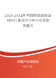 2025-2031年中國(guó)聚氨酯保溫材料行業(yè)研究分析與前景趨勢(shì)報(bào)告