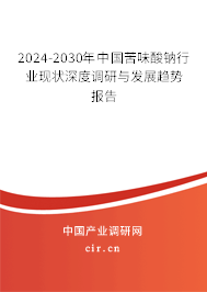2024-2030年中國(guó)苦味酸鈉行業(yè)現(xiàn)狀深度調(diào)研與發(fā)展趨勢(shì)報(bào)告