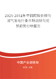 2025-2031年中國垃圾處理與沼氣發(fā)電行業(yè)市場調(diào)研與前景趨勢分析報告
