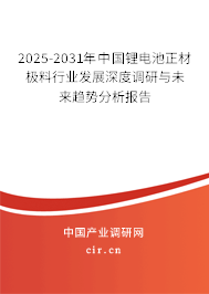 2025-2031年中國(guó)鋰電池正材極料行業(yè)發(fā)展深度調(diào)研與未來(lái)趨勢(shì)分析報(bào)告