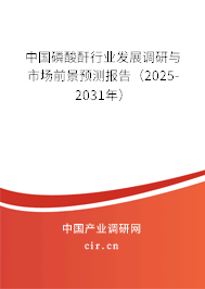 中國磷酸酐行業(yè)發(fā)展調(diào)研與市場前景預(yù)測報告（2025-2031年）