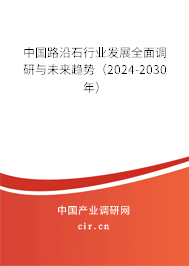 中國路沿石行業(yè)發(fā)展全面調研與未來趨勢（2024-2030年）