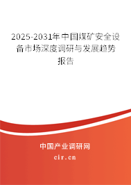2025-2031年中國煤礦安全設(shè)備市場深度調(diào)研與發(fā)展趨勢報告