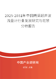 2025-2031年中國明渠超聲波流量計行業(yè)發(fā)展研究與前景分析報告