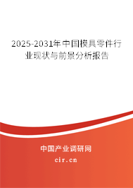 2025-2031年中國模具零件行業(yè)現(xiàn)狀與前景分析報(bào)告