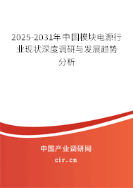 2025-2031年中國模塊電源行業(yè)現(xiàn)狀深度調(diào)研與發(fā)展趨勢(shì)分析