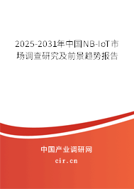 2025-2031年中國(guó)NB-IoT市場(chǎng)調(diào)查研究及前景趨勢(shì)報(bào)告