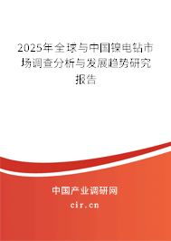 2024年全球與中國鎳電鉆市場調(diào)查分析與發(fā)展趨勢研究報告