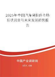 2025年中國汽車易損件市場現(xiàn)狀調查與未來發(fā)展趨勢報告