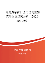 青海汽車再制造市場調(diào)查研究與發(fā)展趨勢分析（2025-2031年）