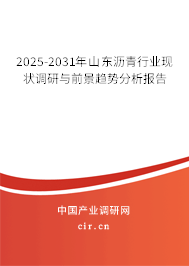2025-2031年山東瀝青行業(yè)現(xiàn)狀調(diào)研與前景趨勢分析報告
