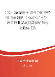 2024-2030年全球與中國神經肌肉電刺激（NMES/EMS）裝置行業(yè)發(fā)展深度調研與未來趨勢報告