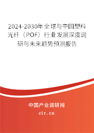 2024-2030年全球與中國塑料光纖（POF）行業(yè)發(fā)展深度調(diào)研與未來趨勢(shì)預(yù)測(cè)報(bào)告
