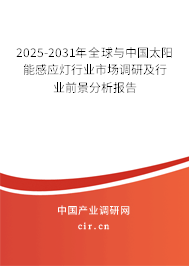 2025-2031年全球與中國(guó)太陽(yáng)能感應(yīng)燈行業(yè)市場(chǎng)調(diào)研及行業(yè)前景分析報(bào)告
