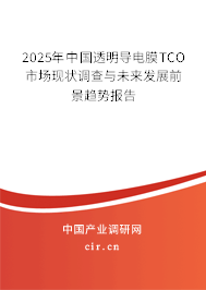 2025年中國透明導(dǎo)電膜TCO市場現(xiàn)狀調(diào)查與未來發(fā)展前景趨勢報告