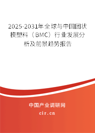 2025-2031年全球與中國(guó)團(tuán)狀模塑料（BMC）行業(yè)發(fā)展分析及前景趨勢(shì)報(bào)告