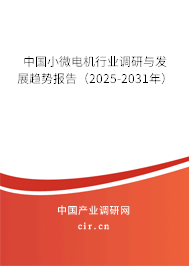 中國(guó)小微電機(jī)行業(yè)調(diào)研與發(fā)展趨勢(shì)報(bào)告（2025-2031年）