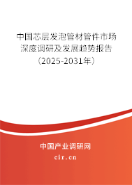 中國芯層發(fā)泡管材管件市場深度調研及發(fā)展趨勢報告（2025-2031年）