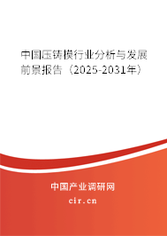 中國壓鑄模行業(yè)分析與發(fā)展前景報告（2025-2031年）
