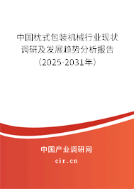 中國枕式包裝機械行業(yè)現(xiàn)狀調(diào)研及發(fā)展趨勢分析報告（2025-2031年）