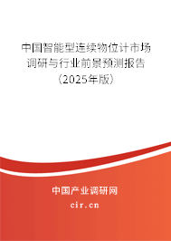 中國(guó)智能型連續(xù)物位計(jì)市場(chǎng)調(diào)研與行業(yè)前景預(yù)測(cè)報(bào)告（2025年版）