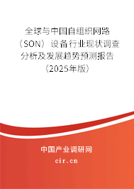 全球與中國自組織網(wǎng)路（SON）設備行業(yè)現(xiàn)狀調查分析及發(fā)展趨勢預測報告（2025年版）