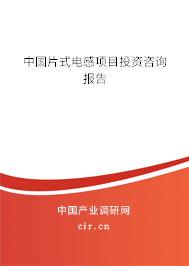 中國片式電感項目投資咨詢報告