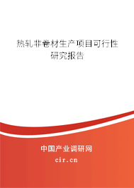 熱軋非卷材生產(chǎn)項目可行性研究報告