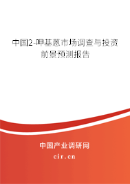 中國2-呷基蒽市場調(diào)查與投資前景預(yù)測報告