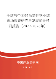 全球與中國99％苛性鈉小球市場調(diào)查研究與發(fā)展前景預(yù)測報(bào)告（2022-2028年）