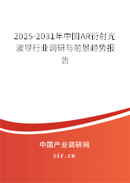 2025-2031年中國AR衍射光波導(dǎo)行業(yè)調(diào)研與前景趨勢報告